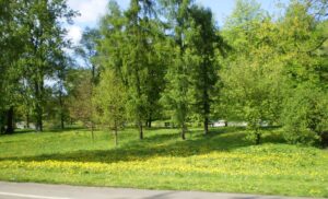 majówka