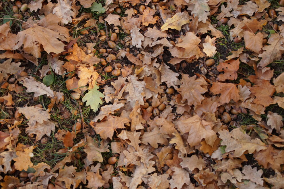 Piosenki tych, których już zabrakło…